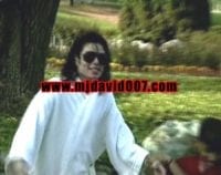 Private Home Movies - Image 4