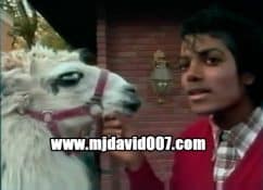 Michael Jackson and his llama in Encino 1983